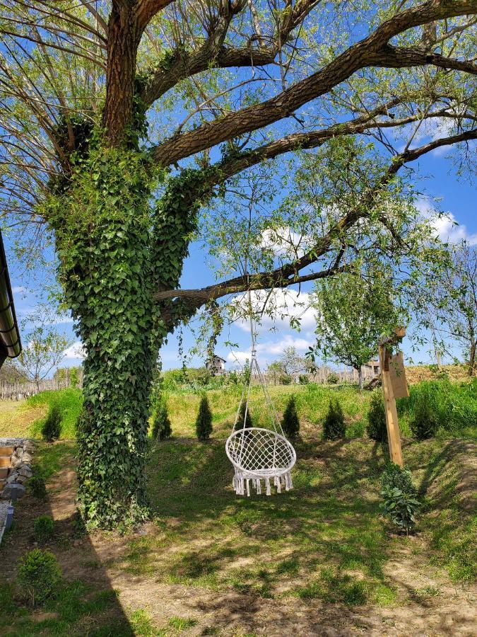 Kutjevo Holiday Home Vinovilla מראה חיצוני תמונה