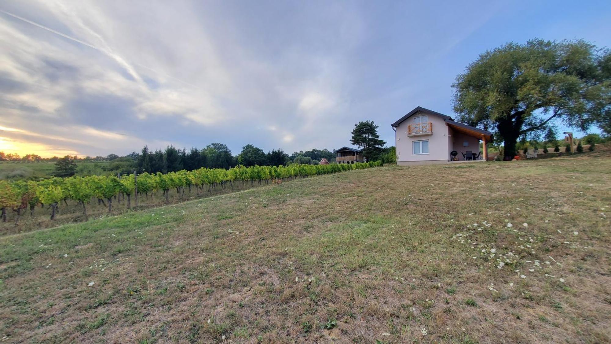Kutjevo Holiday Home Vinovilla מראה חיצוני תמונה