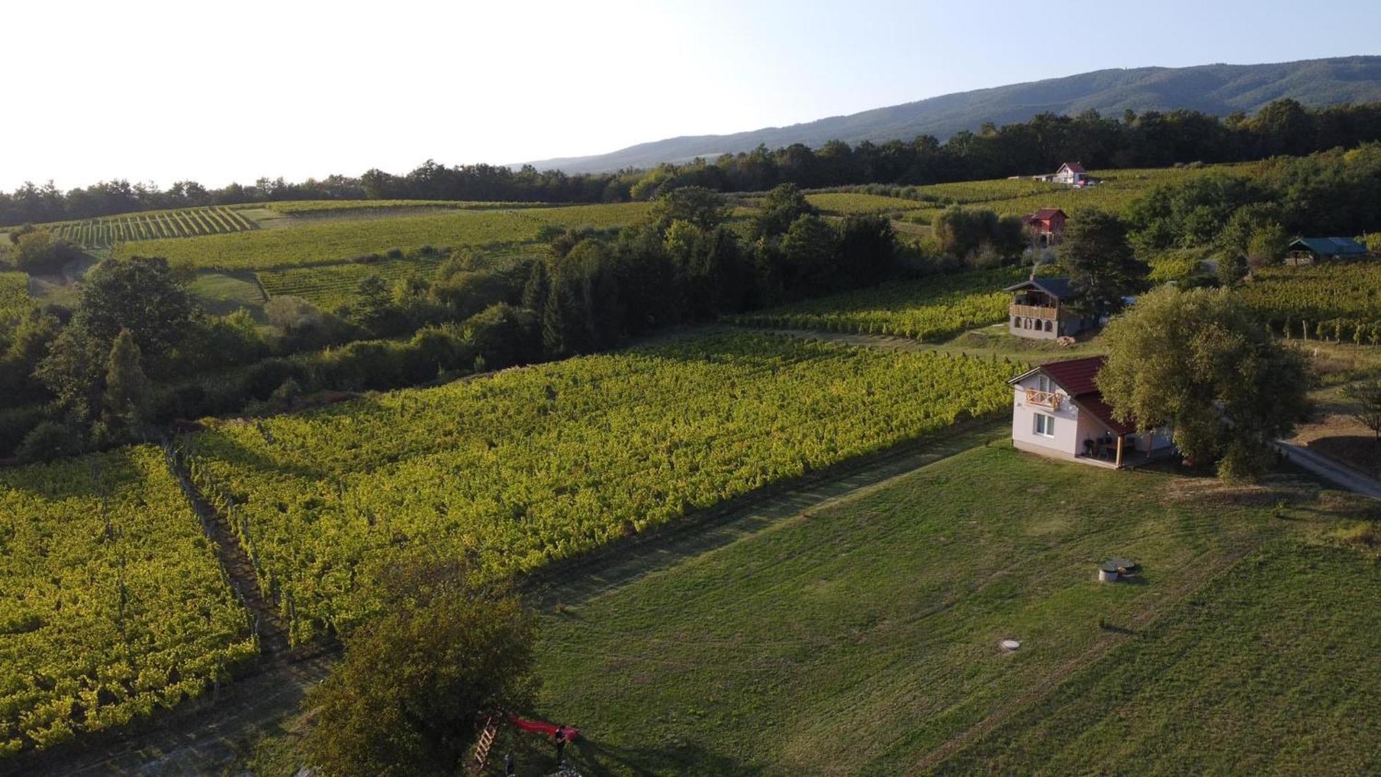 Kutjevo Holiday Home Vinovilla מראה חיצוני תמונה